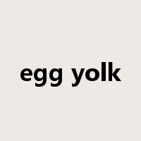 egg yolk是什么意思