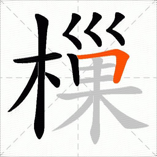 樔
