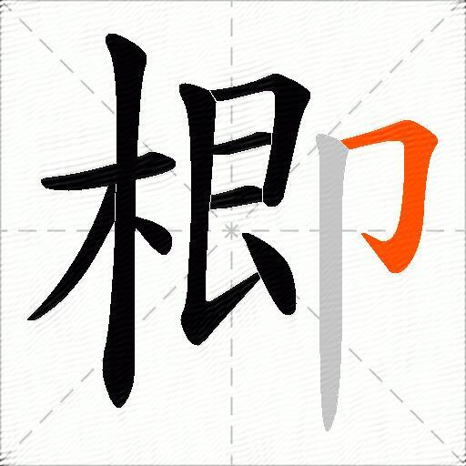 楖