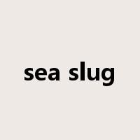 sea slug是什么意思