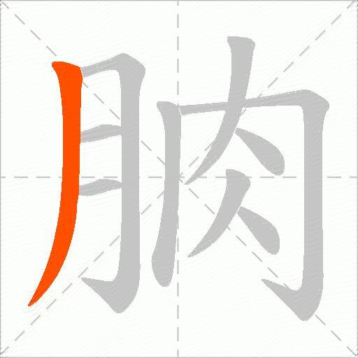 朒