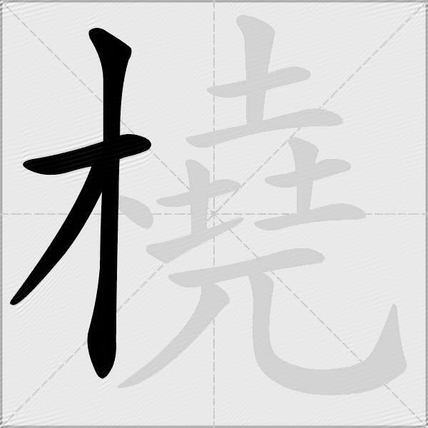 橈