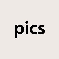 pics是什么意思