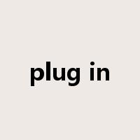 plug in是什么意思