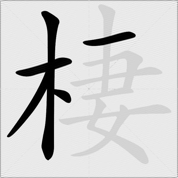 棲