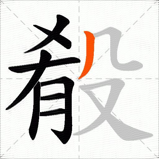 殽