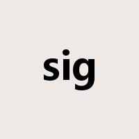 sig是什么意思