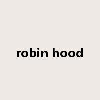robin hood是什么意思