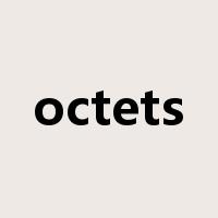 octets是什么意思