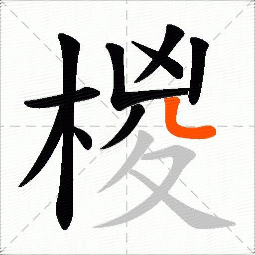 椶