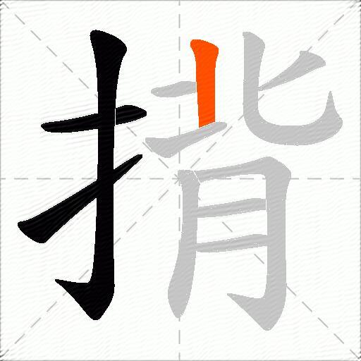 揹