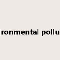 environmental pollution是什么意思