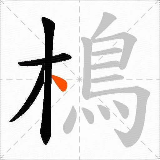 樢