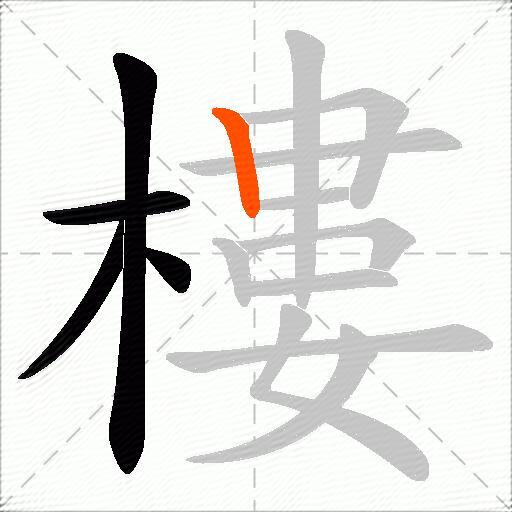 樓
