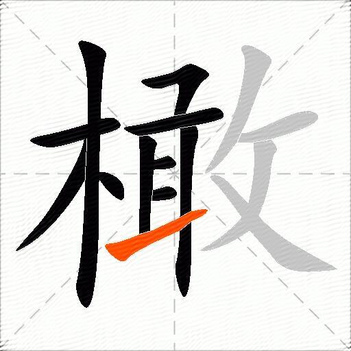 橄