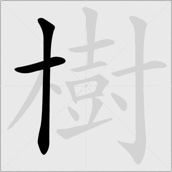 樹