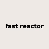 fast reactor是什么意思