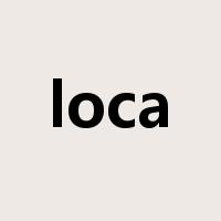 loca是什么意思