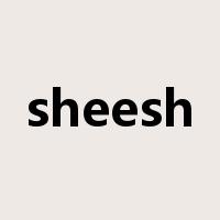 sheesh是什么意思