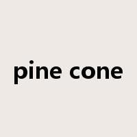 pine cone是什么意思