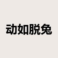 动如脱兔是什么意思