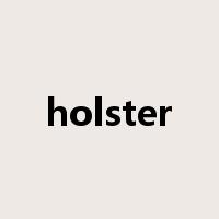 holster是什么意思