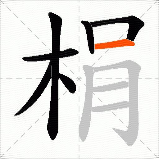 梋