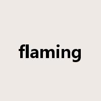 flaming是什么意思