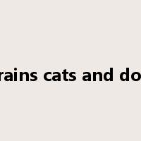 it rains cats and dogs是什么意思