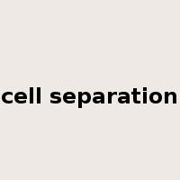 cell separation是什么意思