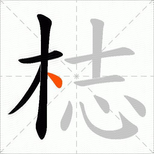 梽
