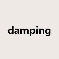 damping是什么意思