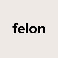felon是什么意思