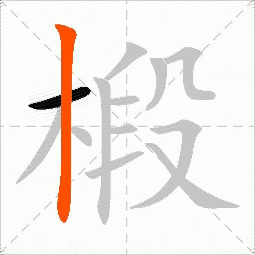 椴