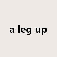 a leg up是什么意思