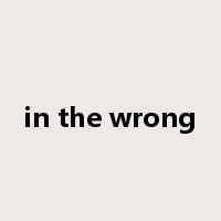 in the wrong是什么意思
