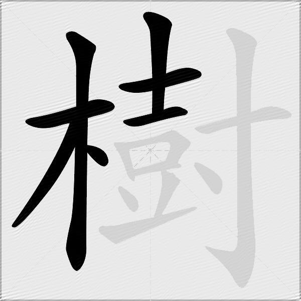 樹