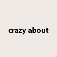 crazy about是什么意思