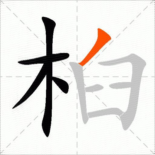 桕