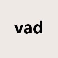 vad是什么意思