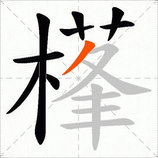 樥