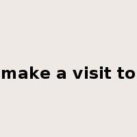 make a visit to是什么意思