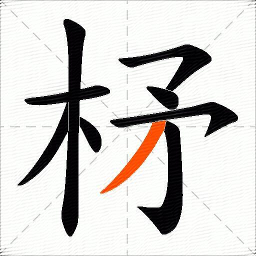 柕