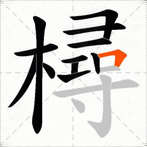 樳