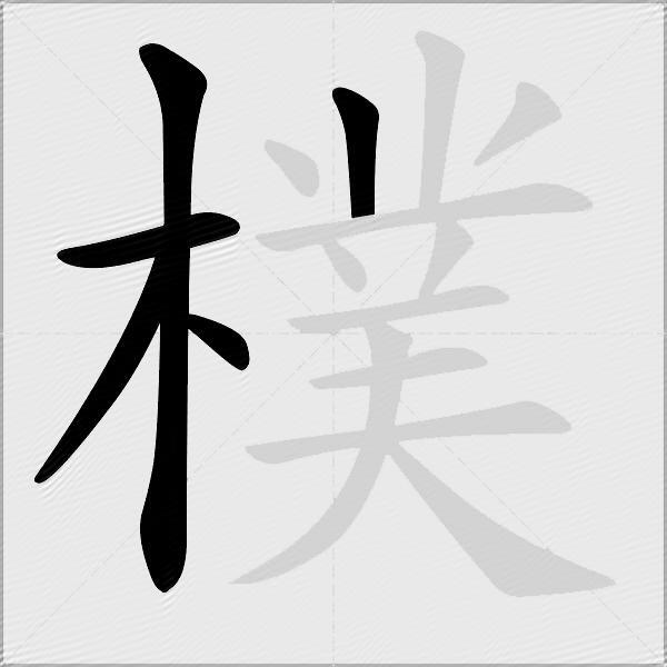 樸