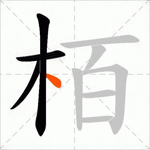 栢