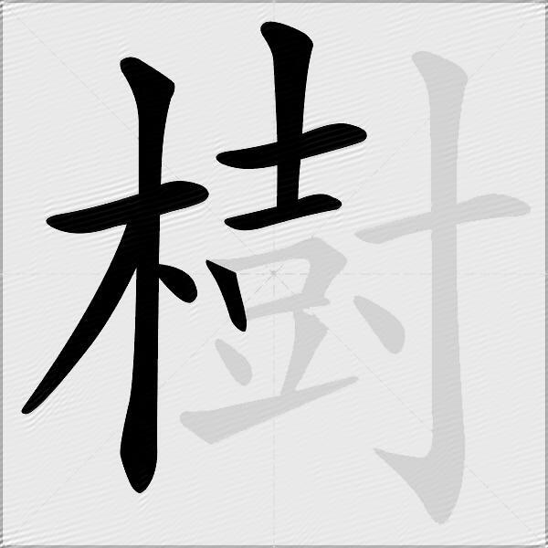 樹
