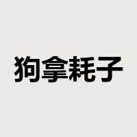 狗拿耗子是什么意思