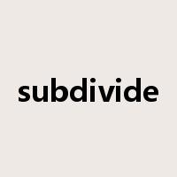 subdivide是什么意思