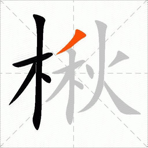 楸